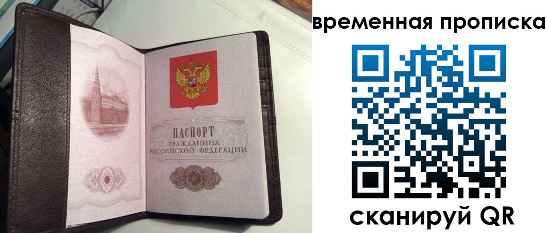 прописка 2025 в Почепе